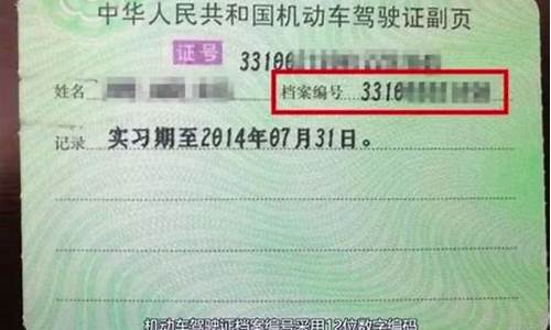 驾驶证查询_驾驶证查询官方网站