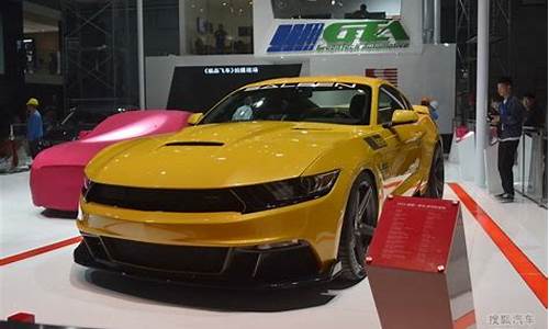 赛麟Mustang_赛麟mustang敞篷